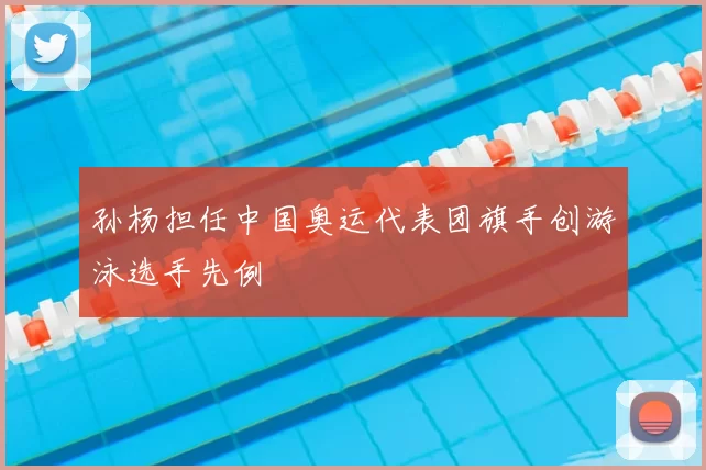 孙杨担任中国奥运代表团旗手创游泳选手先例