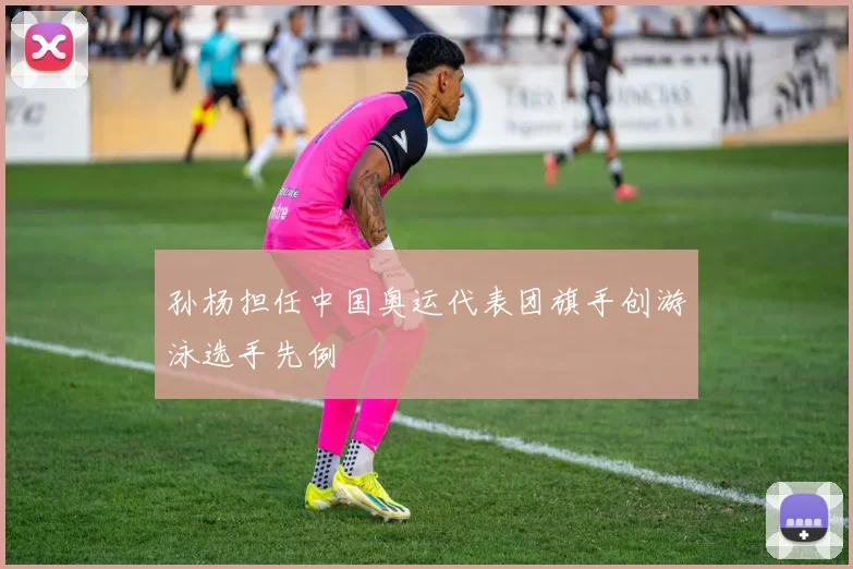 孙杨担任中国奥运代表团旗手创游泳选手先例