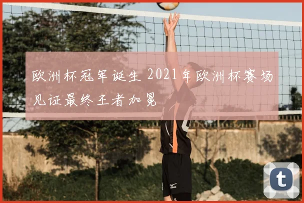 欧洲杯冠军诞生 2021年欧洲杯赛场见证最终王者加冕