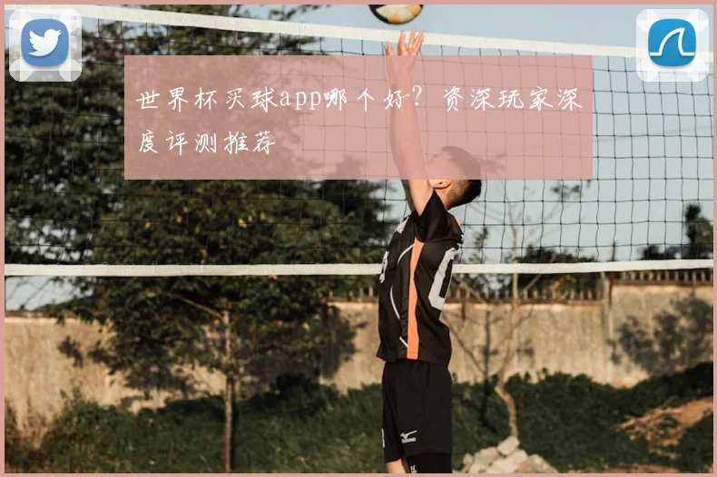 世界杯买球app哪个好？资深玩家深度评测推荐