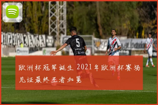欧洲杯冠军诞生 2021年欧洲杯赛场见证最终王者加冕