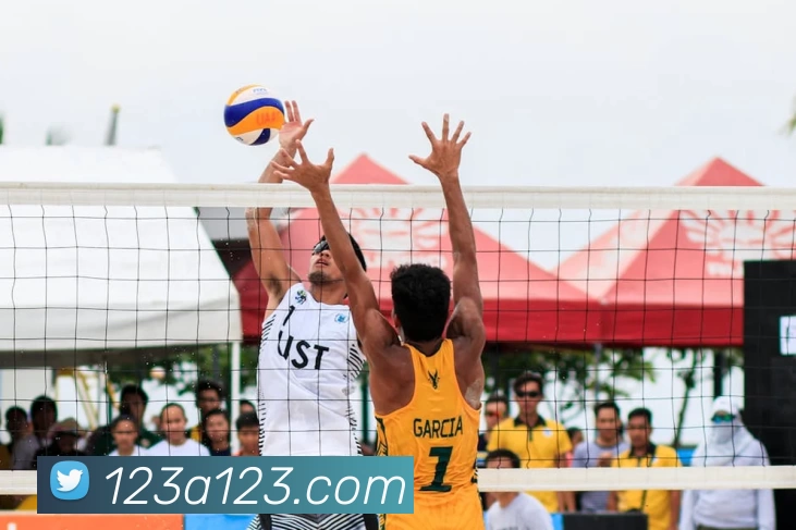 多媒体互动体验